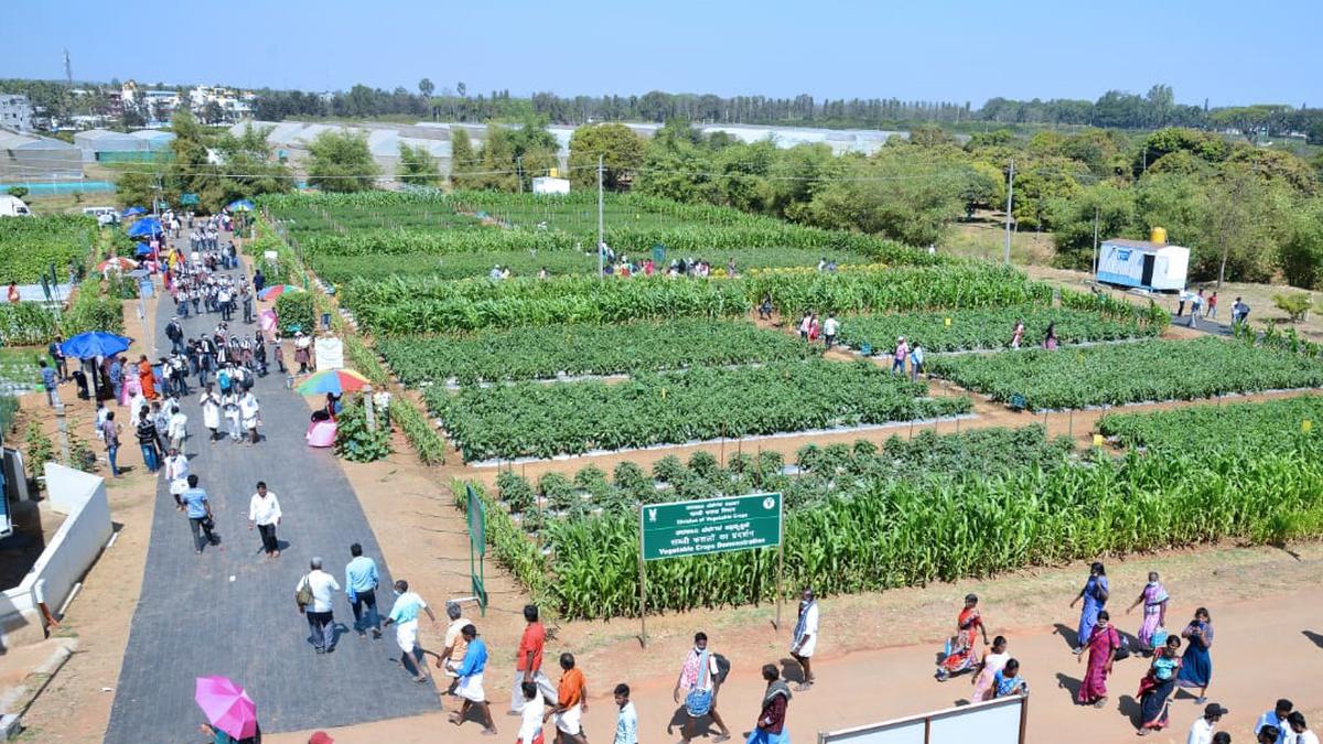 IIHR’s threeday national horticultural fair set to begin from March 5